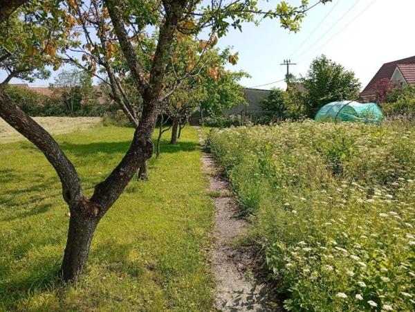 Maison individuelle Saint-Dizier-l'Évêque 165 m²