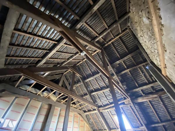 Local professionnel et habitation à rénover 