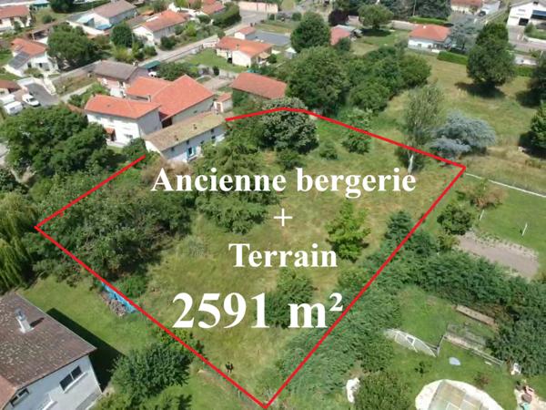 Terrain - 2591 m²