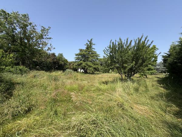 Terrain - 2591 m²