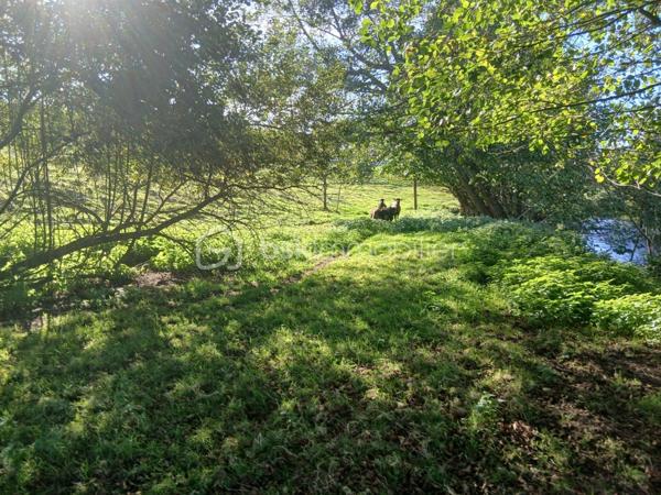 Terrain de 1 250 m²