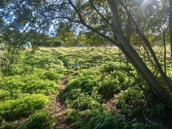 Terrain de 1 250 m²