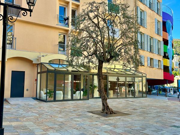 LOCAL COMMERCIAL RÉNOVÉ GRASSE CENTRE