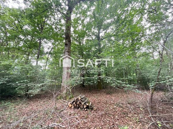Terrain constructible à vendre à Vouzeron