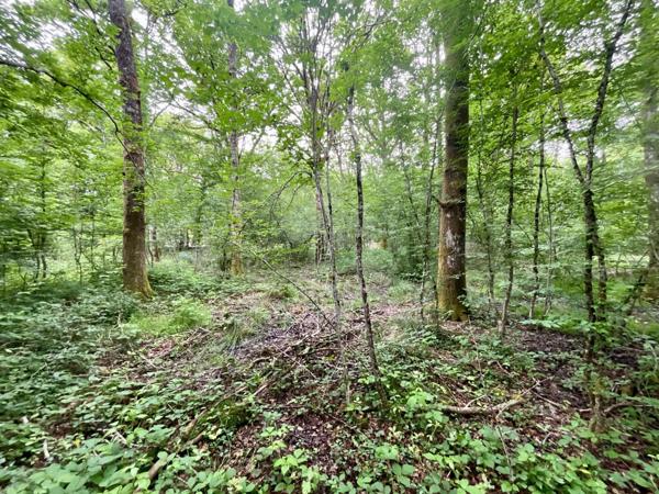 Terrain constructible à vendre à Vouzeron