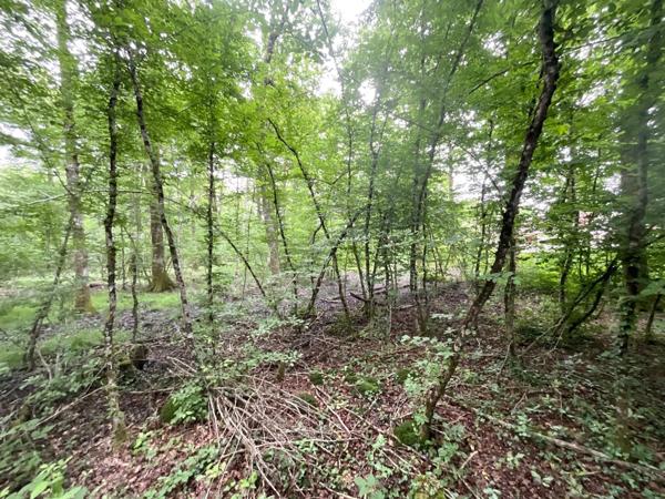 Terrain constructible à vendre à Vouzeron