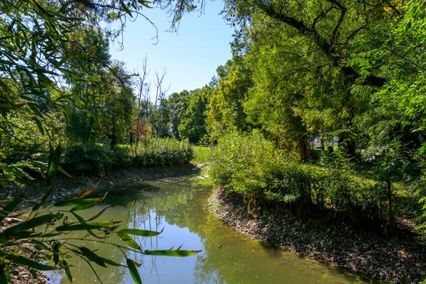 A VENDRE 15 MIN DE LA ROCHELLE - MARSILLY  Marsilly
