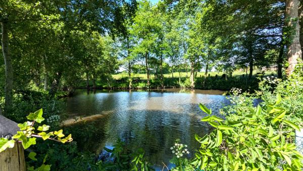 ACHAT/VENTE COSSE LE VIVIEN Longère rénovée 185 m2