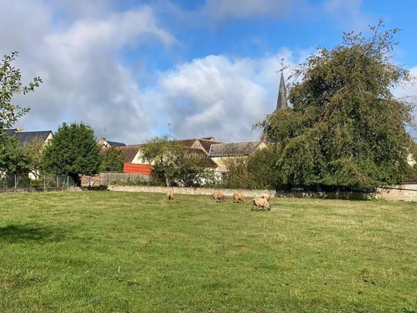 Vente Terrain 4187 m2 à Bessé-sur-Braye