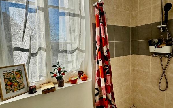 Appartement à louer    1 pièce •  Romorantin-Lanthenay