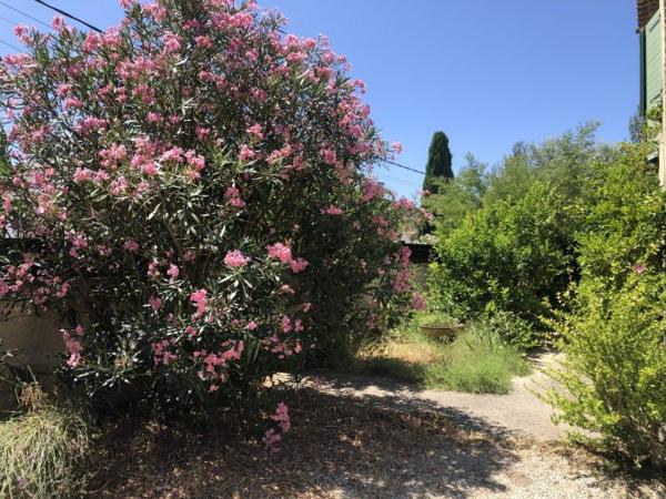 Grande maison familiale bien placée
