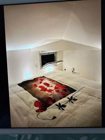 Location Duplex 2 pièces 19 m2 à Revel