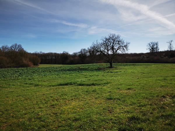 Maison à rénover Blanzay