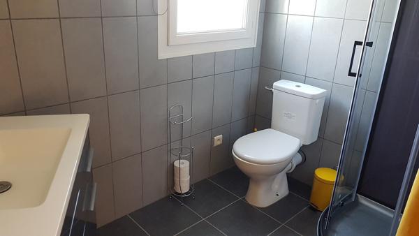 Saint-Ambroix (30500) Grande maison 235 m² ambiance campagne avec vue Cévennes et piscine chauffée