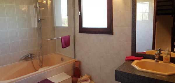 Saint-Ambroix (30500) Grande maison 235 m² ambiance campagne avec vue Cévennes et piscine chauffée