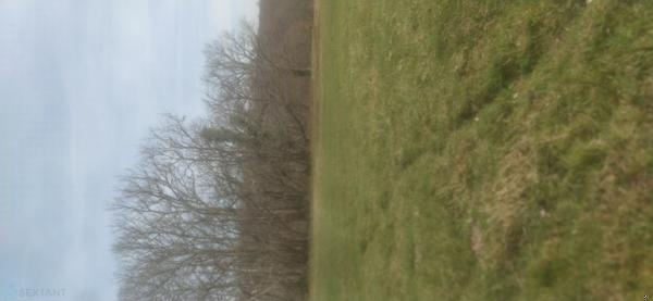 Terrain de loisir et detente