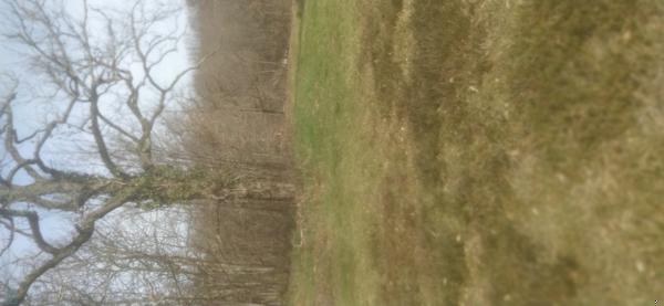 Terrain de loisir et detente