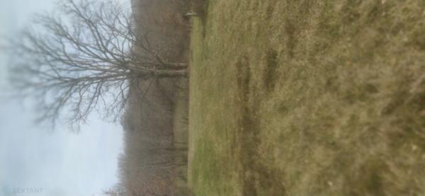 Terrain de loisir et detente