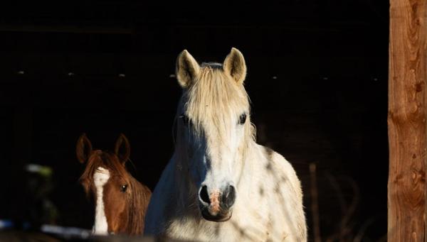 Belle parcelle de terrain avec vue dégagée