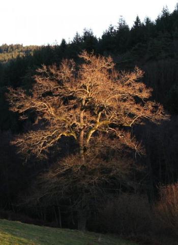 Belle parcelle de terrain avec vue dégagée