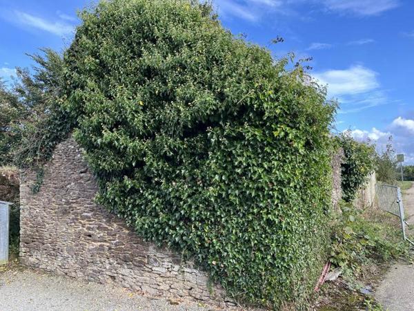 Maison à vendre |  Saint-Sauveur |  1 pièce | 45 m²