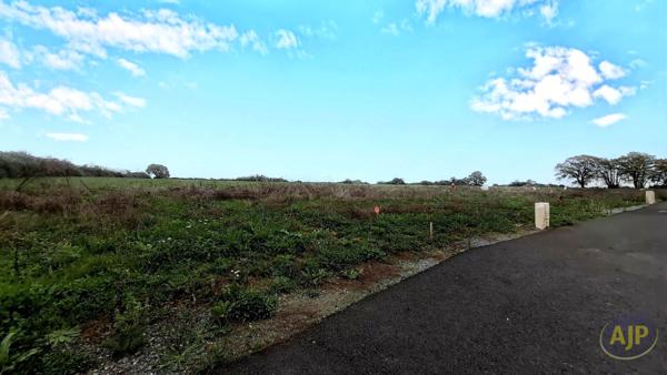 Vente terrain Chateaubriant : 79 900 € - AJP Immobilier Châteaubriant