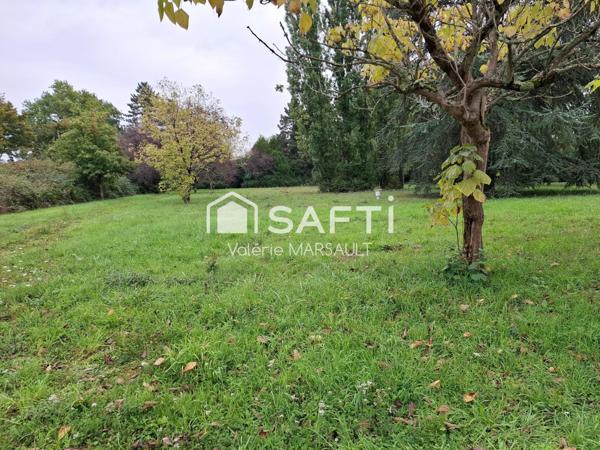 Terrain plat viabilisé 6 000 m², clos et arboré.