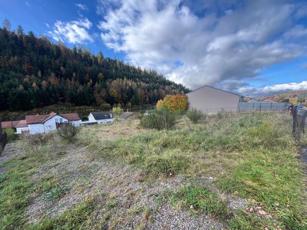 Terrain constructible et viabilisé