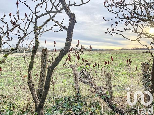 Maison à vendre 3 pièces 74 m² Brosses