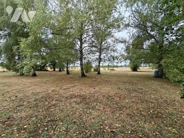 Terrain constructible
