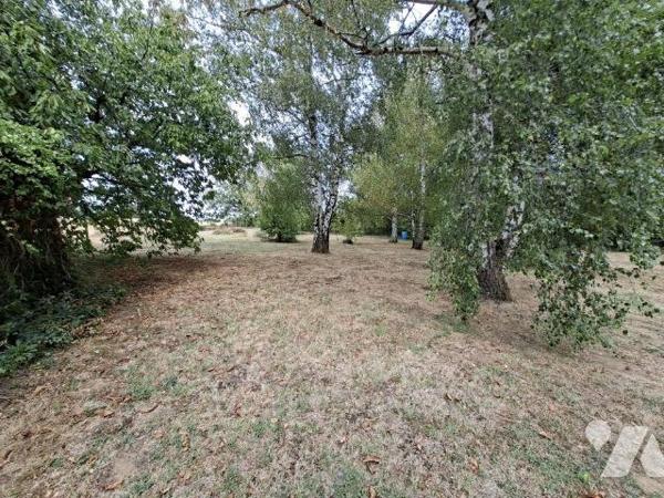 Terrain constructible