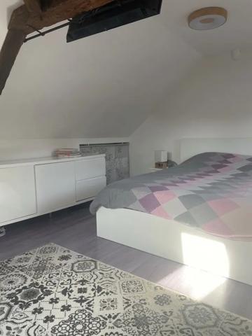 BASSE - INDRE: Maison 2 chambres - Bords de Loire