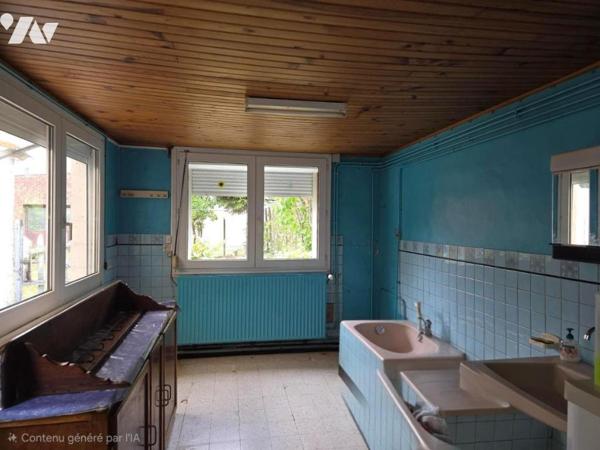 BRUILLE LEZ MARCHIENNES, MAISON ANCIENNE A RENOVER