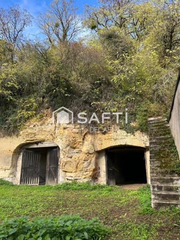 Ensemble troglodyte rare avec deux caves et terrain arboré dominant.