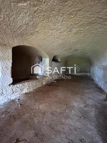 Ensemble troglodyte rare avec deux caves et terrain arboré dominant.