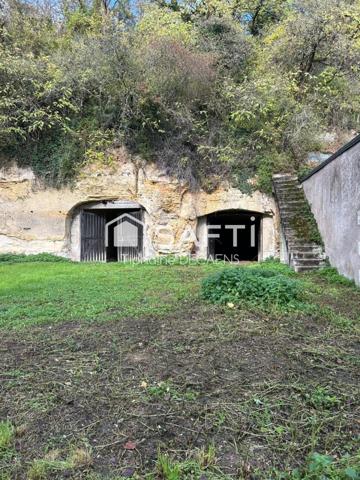 Ensemble troglodyte rare avec deux caves et terrain arboré dominant.