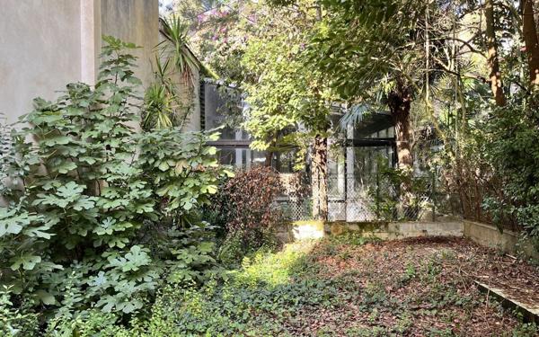 Maison à vendre    3 pièces •  Peyrehorade