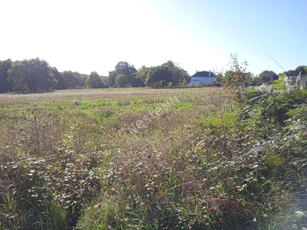 FREGREAC : A 9 kms de redon, vente de Terrain de 1 591 m2 à Fégréac, non viabilisé, dans le bourg, zone UB, possibilité d'être divisé.