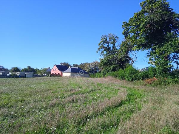 FREGREAC : A 9 kms de redon, vente de Terrain de 1 591 m2 à Fégréac, non viabilisé, dans le bourg, zone UB, possibilité d'être divisé.