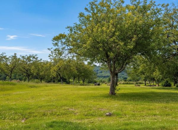 Vente maison 117m2 Marcillac-Saint-Quentin (24200)