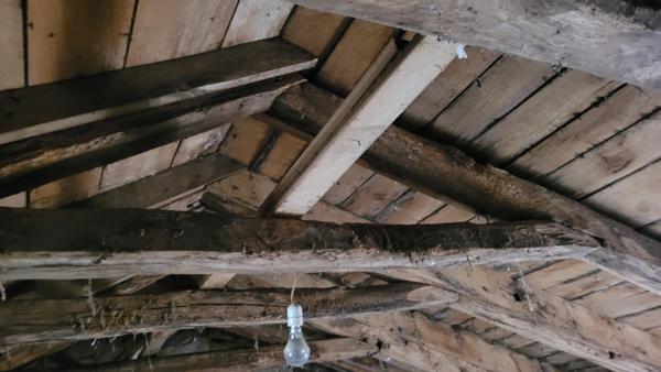 Petite maison en pierres à rénover avec terrain