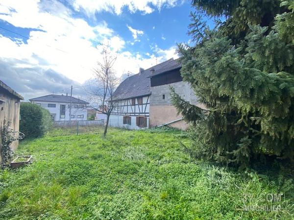 3%COM. Maison à rénover avec dépendances et jardin sur 7,32 ares Minversheim (67270)