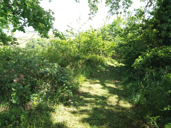 Grange La Romieu 6 pièce(s) 100 m2