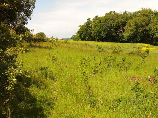 Grange La Romieu 6 pièce(s) 100 m2