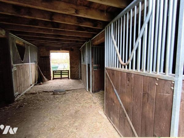 Maison et 8 ha de terrain - LONLAY L'ABBAYE.