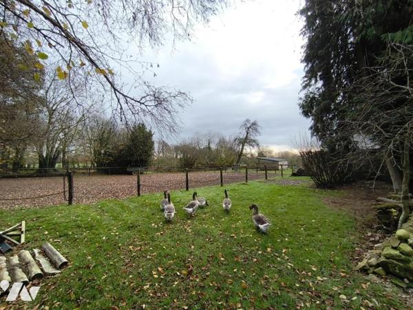 Maison et 8 ha de terrain - LONLAY L'ABBAYE.