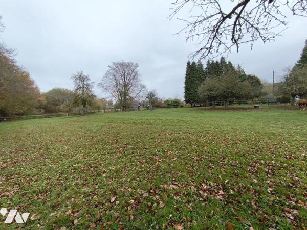 Maison et 8 ha de terrain - LONLAY L'ABBAYE.