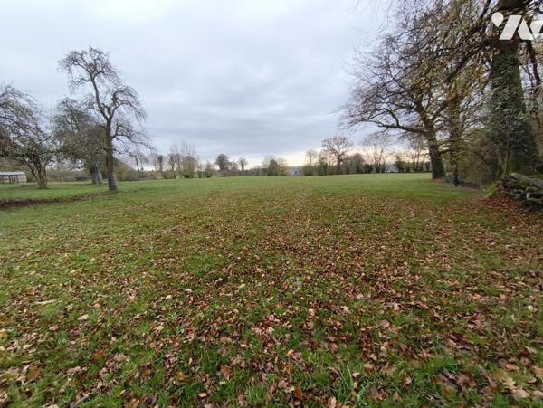 Maison et 8 ha de terrain - LONLAY L'ABBAYE.