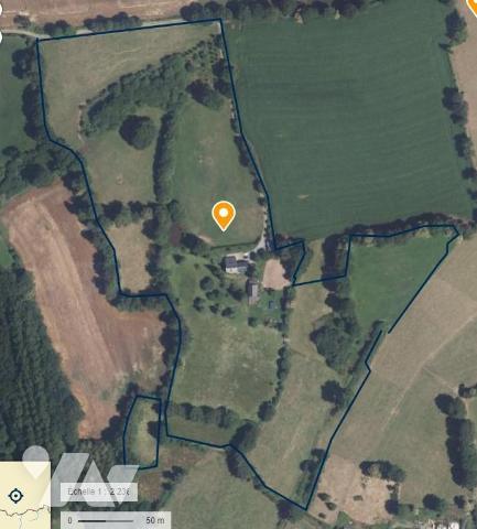 Maison et 8 ha de terrain - LONLAY L'ABBAYE.