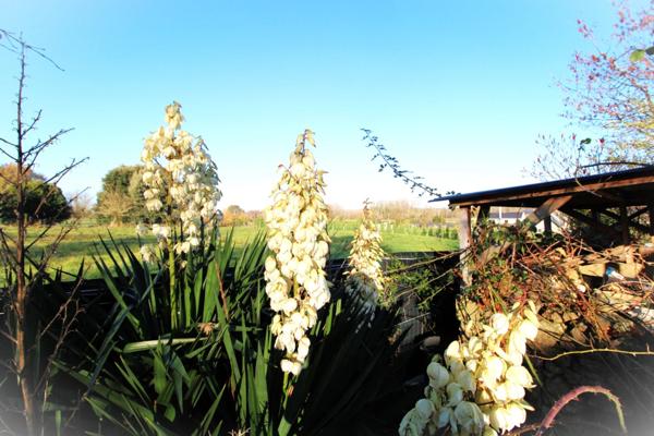 Maison à vendre 6 pièces , 143m2 (49390)